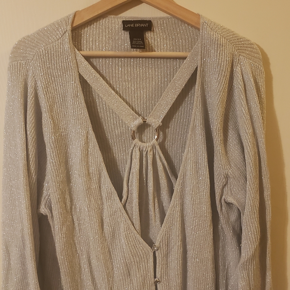 Lane Bryant Silver Sparkly Top